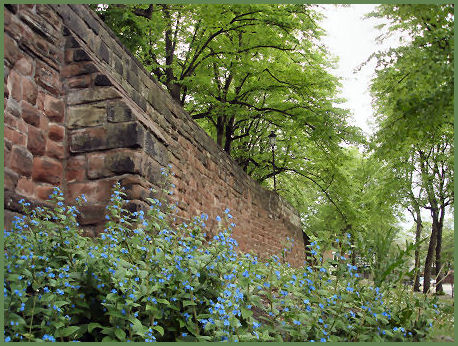 Chester city walls