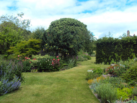 Bluebell Cottage Garden