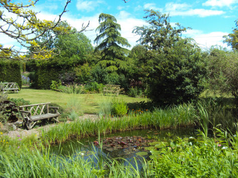 Bluebell Cottage Garden