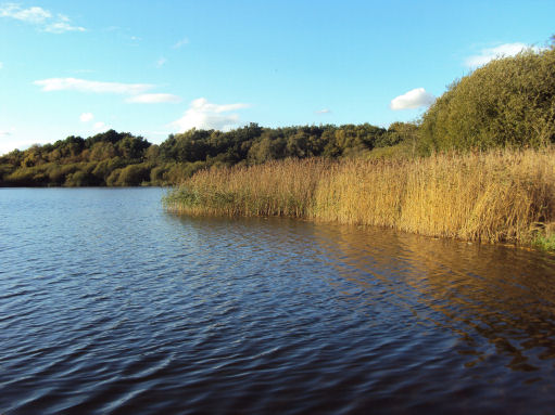 Hatchmere