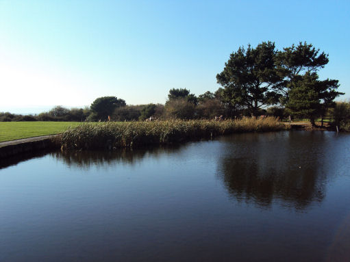 Wirral country Park