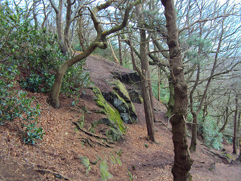 Woodhouses Hill Fort