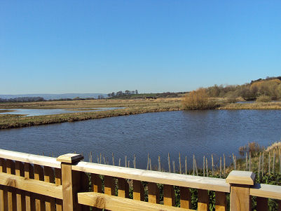 Burton Mere Wetlands