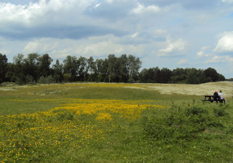 Pickering's Pasture