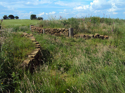 Eddisbury Hill Fort