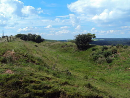 Eddisbury hill fort