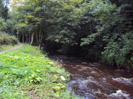 River Goyt, the Torrs
